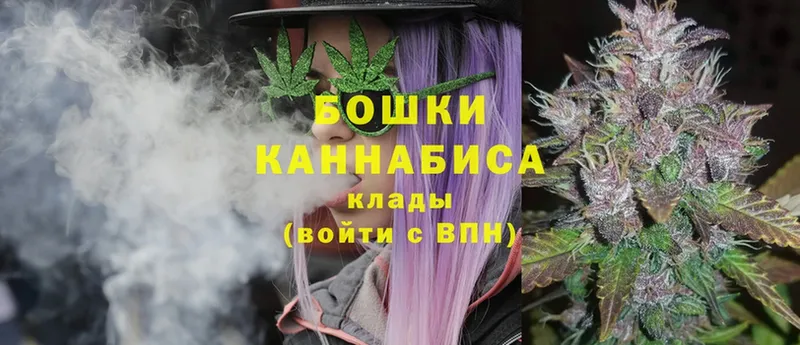 Каннабис OG Kush  Омск 